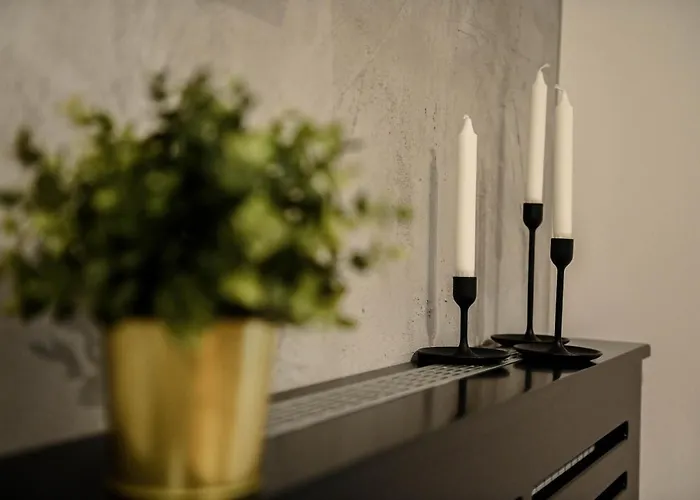 Cozy Apartment Plus
