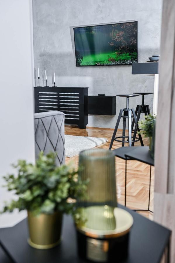 Cozy Novi Sad