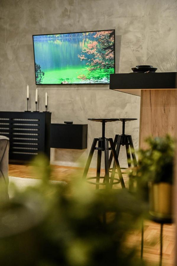 Apartment Cozy Novi Sad